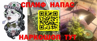стафф Магадан