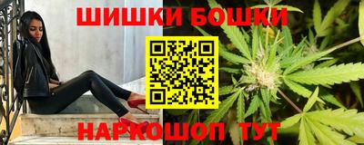 стафф Магадан
