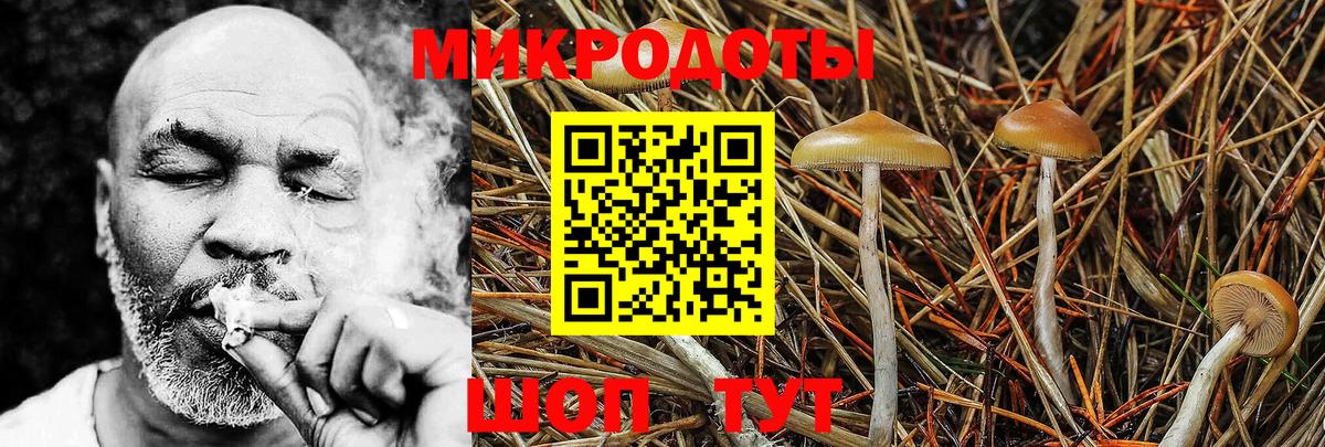 Псилоцибиновые грибы мухоморы  Вход с VPN  Приморско-Ахтарск  Псилоцибиновые грибы MAGIC MUSHROOMS 